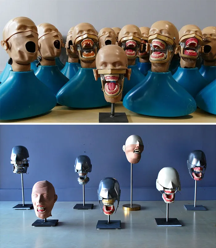 Dental Practice Heads