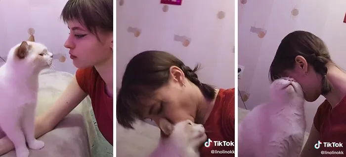 Estos dueños observaron las reacciones de sus mascotas tras darles un beso inesperado (45 fotos)