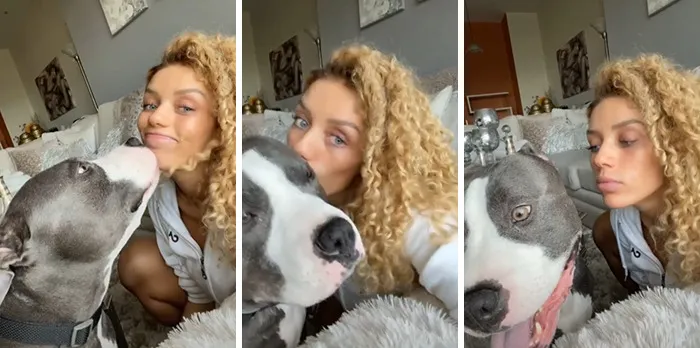 Owners Wanted To See The Reactions Of Their Pets After They Get Unexpected Kisses (45 Pics)