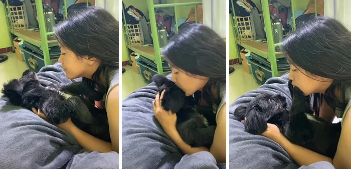 Owners Wanted To See The Reactions Of Their Pets After They Get Unexpected Kisses (45 Pics)