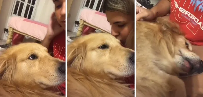 Owners Wanted To See The Reactions Of Their Pets After They Get Unexpected Kisses (45 Pics)