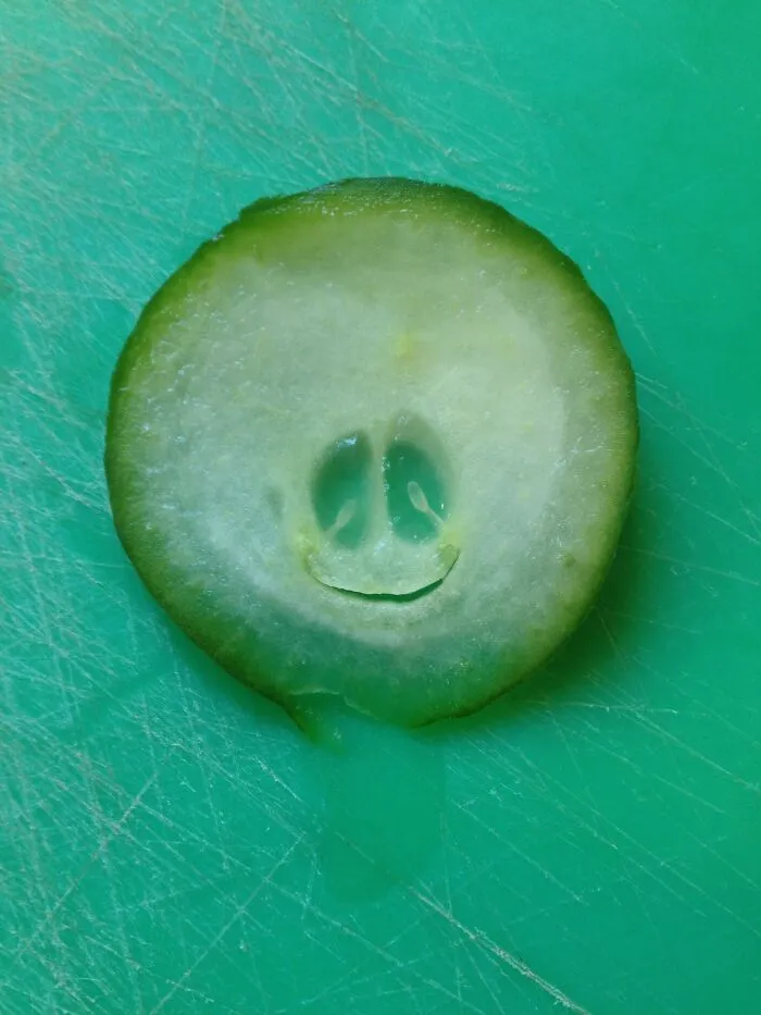 La rodaja de pepino más feliz que he visto