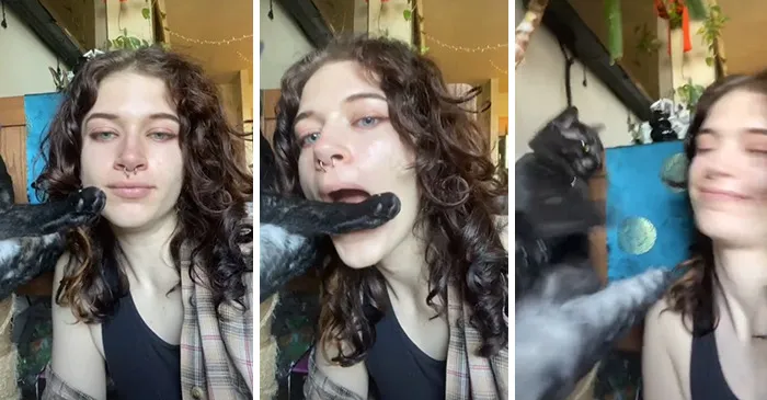 Owners Wanted To See The Reactions Of Their Pets After They Get Unexpected Kisses (45 Pics)