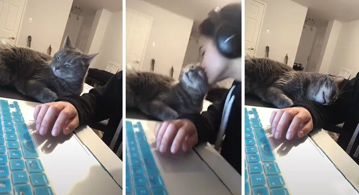 Estos dueños observaron las reacciones de sus mascotas tras darles un beso inesperado (45 fotos)