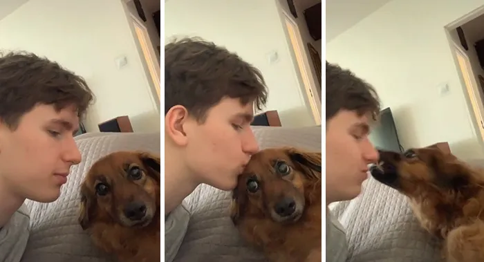 Owners Wanted To See The Reactions Of Their Pets After They Get Unexpected Kisses (45 Pics)