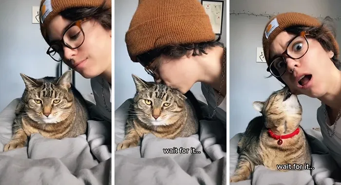 Estos dueños observaron las reacciones de sus mascotas tras darles un beso inesperado (45 fotos)