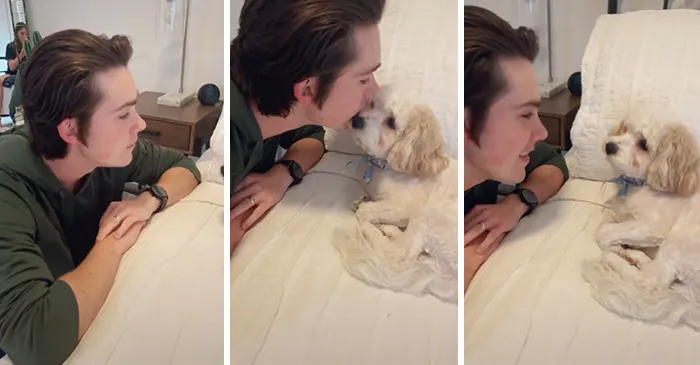Owners Wanted To See The Reactions Of Their Pets After They Get Unexpected Kisses (45 Pics)