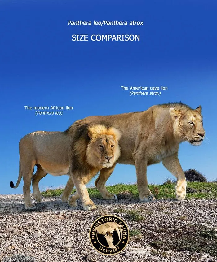 37 Comparisons Of The Sizes Of Prehistoric Animal Ancestors And Their Modern Relatives By Roman Uchytel