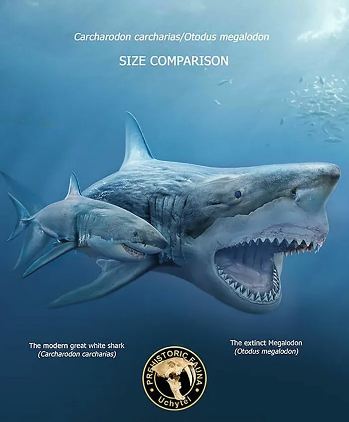 37 Comparisons Of The Sizes Of Prehistoric Animal Ancestors And Their Modern Relatives By Roman Uchytel