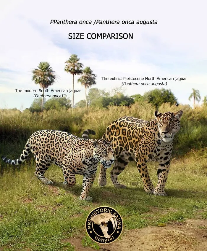 37 Comparisons Of The Sizes Of Prehistoric Animal Ancestors And Their Modern Relatives By Roman Uchytel