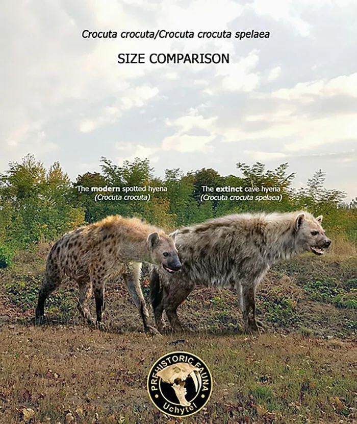 37 Comparisons Of The Sizes Of Prehistoric Animal Ancestors And Their Modern Relatives By Roman Uchytel
