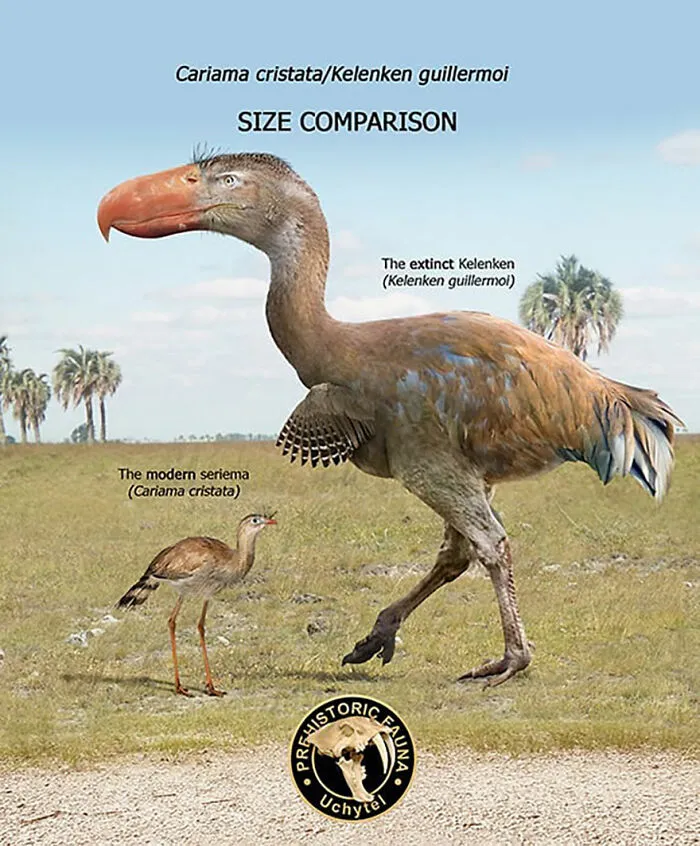 37 Comparisons Of The Sizes Of Prehistoric Animal Ancestors And Their Modern Relatives By Roman Uchytel