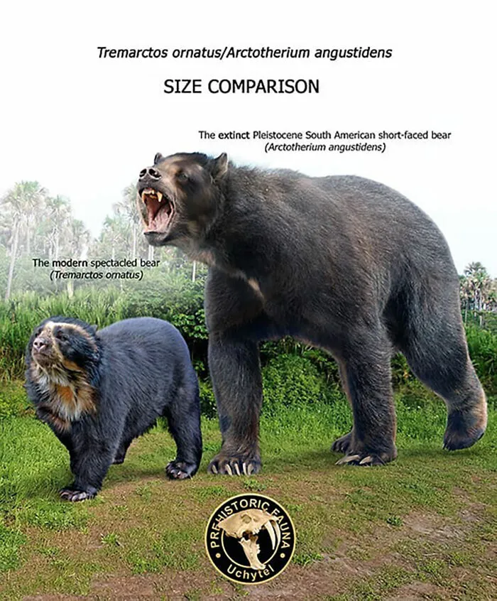 37 Comparisons Of The Sizes Of Prehistoric Animal Ancestors And Their Modern Relatives By Roman Uchytel