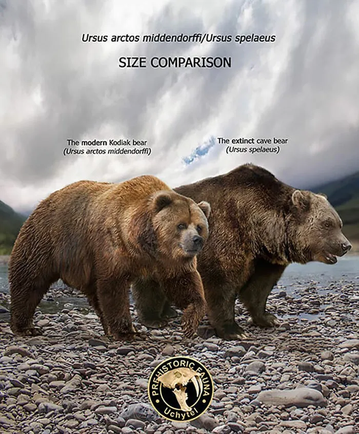 37 Comparisons Of The Sizes Of Prehistoric Animal Ancestors And Their Modern Relatives By Roman Uchytel