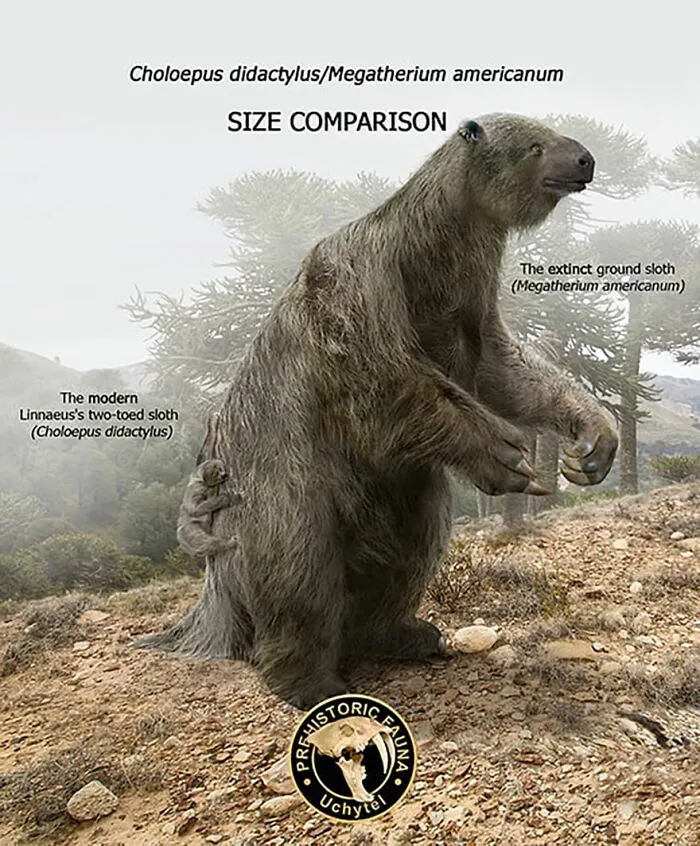 37 Comparisons Of The Sizes Of Prehistoric Animal Ancestors And Their Modern Relatives By Roman Uchytel