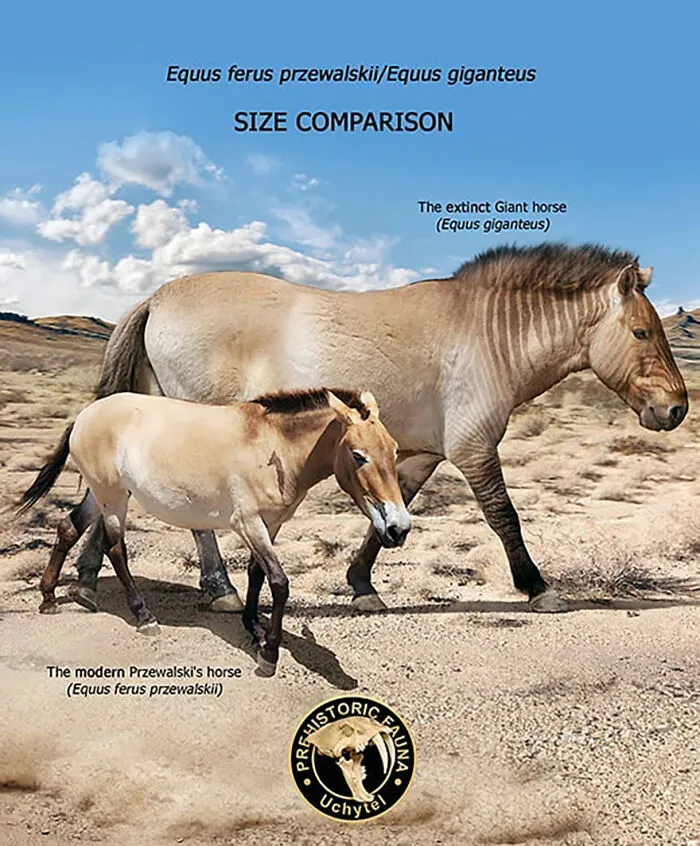 37 Comparisons Of The Sizes Of Prehistoric Animal Ancestors And Their Modern Relatives By Roman Uchytel
