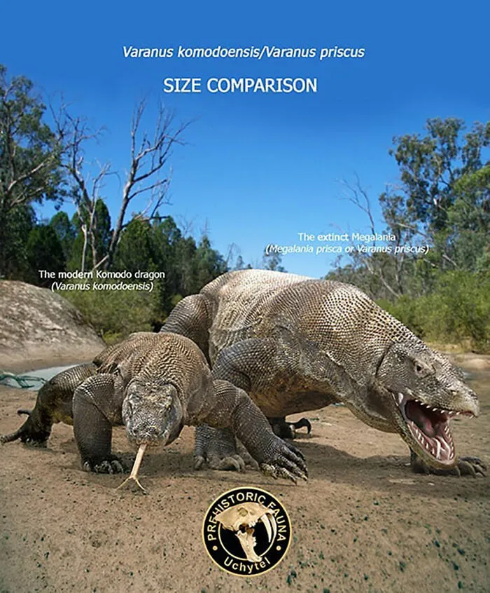 37 Comparisons Of The Sizes Of Prehistoric Animal Ancestors And Their Modern Relatives By Roman Uchytel