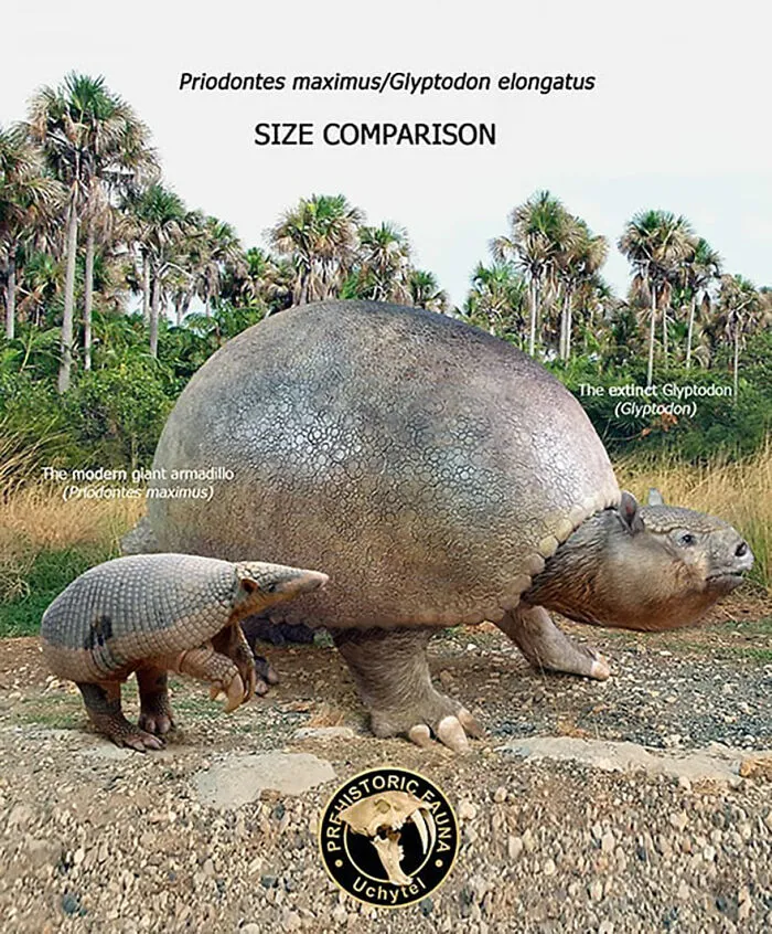 37 Comparisons Of The Sizes Of Prehistoric Animal Ancestors And Their Modern Relatives By Roman Uchytel
