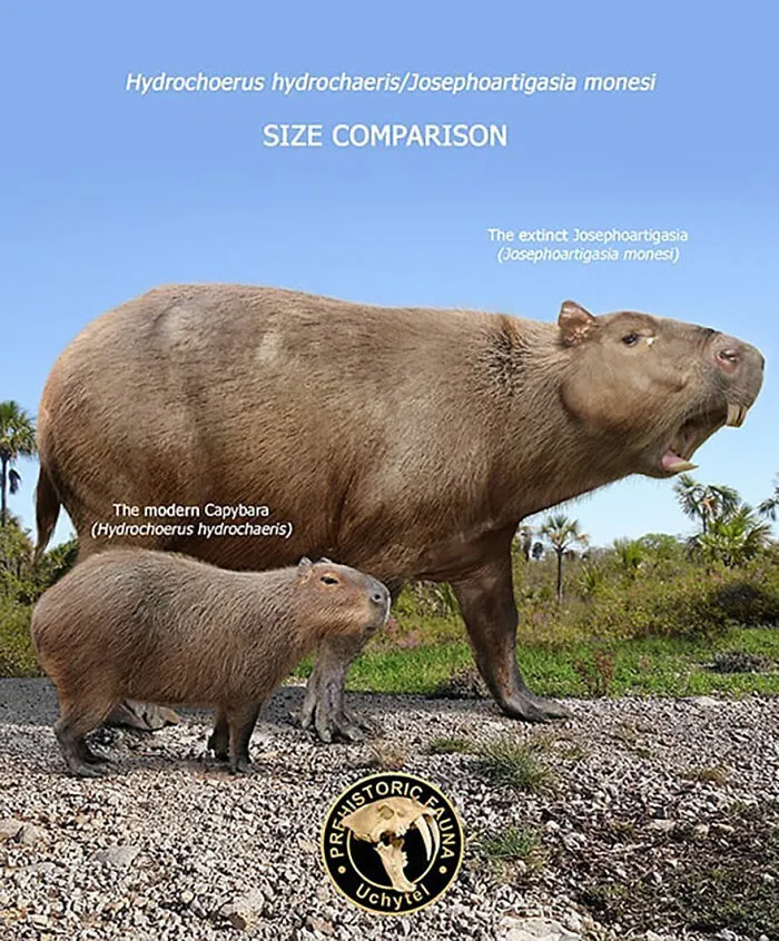 37 Comparisons Of The Sizes Of Prehistoric Animal Ancestors And Their Modern Relatives By Roman Uchytel