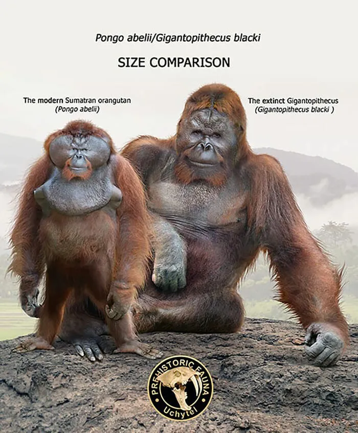 37 Comparisons Of The Sizes Of Prehistoric Animal Ancestors And Their Modern Relatives By Roman Uchytel