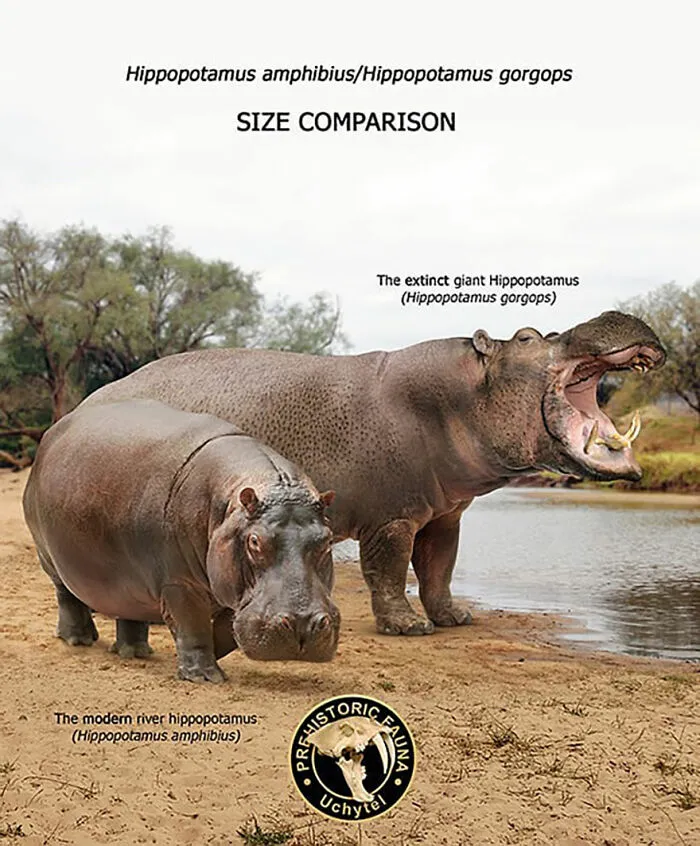 39 Visual Comparisons Of The Size Of Long-Extinct Animals With Their Modern Relatives
