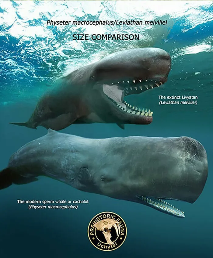 37 Comparisons Of The Sizes Of Prehistoric Animal Ancestors And Their Modern Relatives By Roman Uchytel