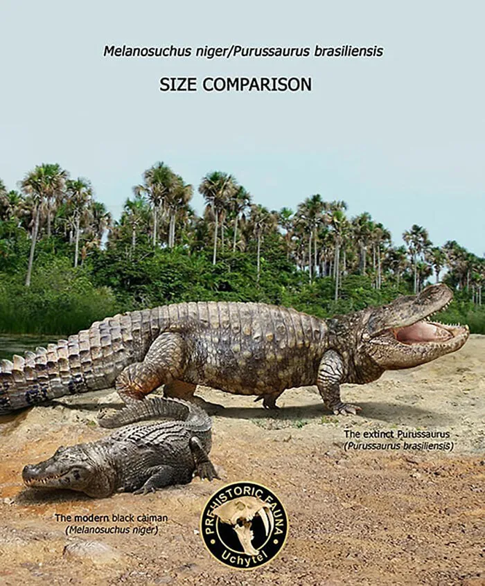37 Comparisons Of The Sizes Of Prehistoric Animal Ancestors And Their Modern Relatives By Roman Uchytel