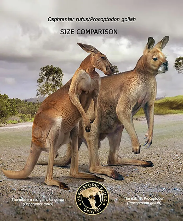 37 Comparisons Of The Sizes Of Prehistoric Animal Ancestors And Their Modern Relatives By Roman Uchytel