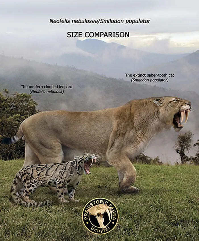 37 Comparisons Of The Sizes Of Prehistoric Animal Ancestors And Their Modern Relatives By Roman Uchytel