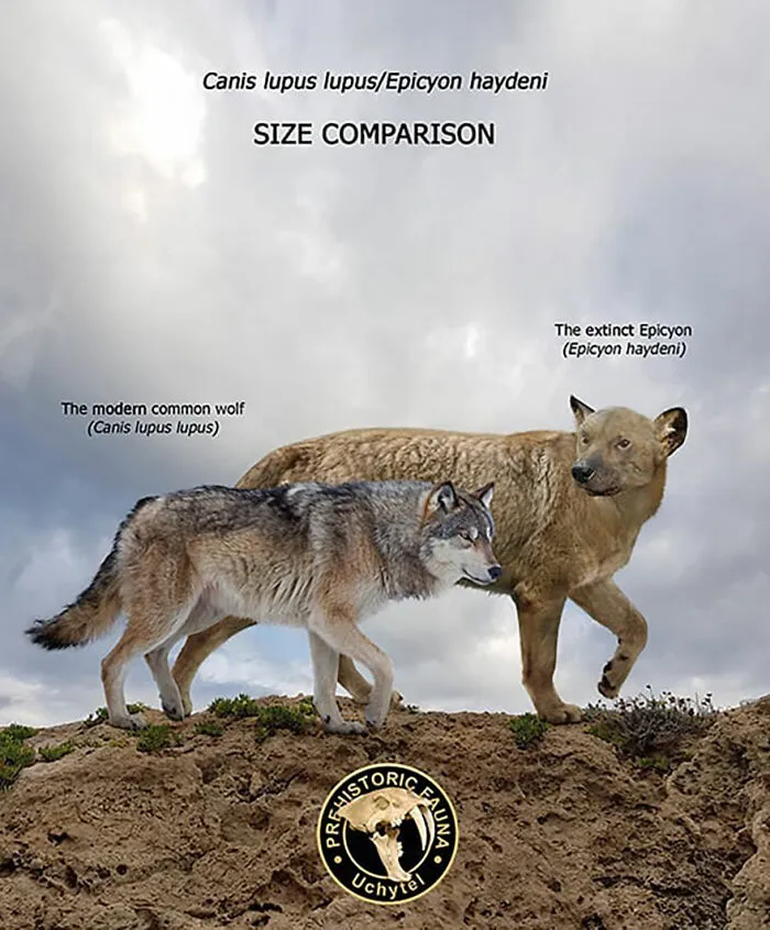 37 Comparisons Of The Sizes Of Prehistoric Animal Ancestors And Their Modern Relatives By Roman Uchytel