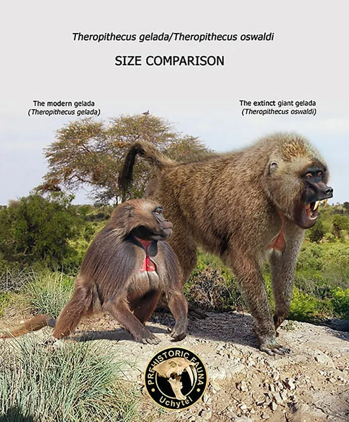 37 Comparisons Of The Sizes Of Prehistoric Animal Ancestors And Their Modern Relatives By Roman Uchytel