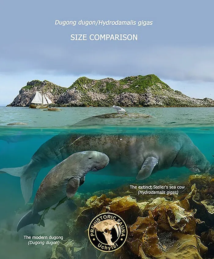 37 Comparisons Of The Sizes Of Prehistoric Animal Ancestors And Their Modern Relatives By Roman Uchytel