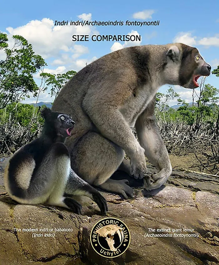 37 Comparisons Of The Sizes Of Prehistoric Animal Ancestors And Their Modern Relatives By Roman Uchytel
