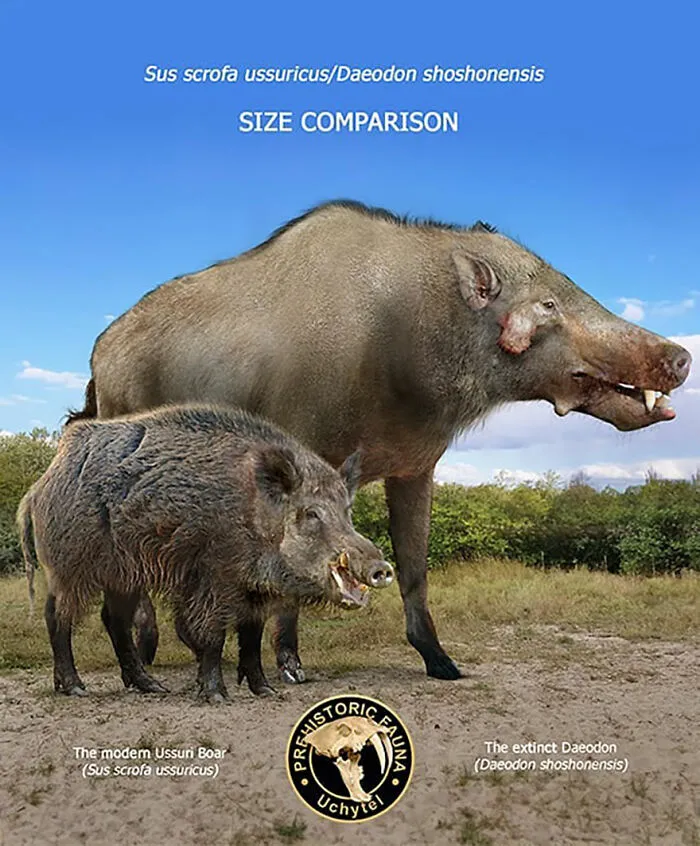 37 Comparisons Of The Sizes Of Prehistoric Animal Ancestors And Their Modern Relatives By Roman Uchytel