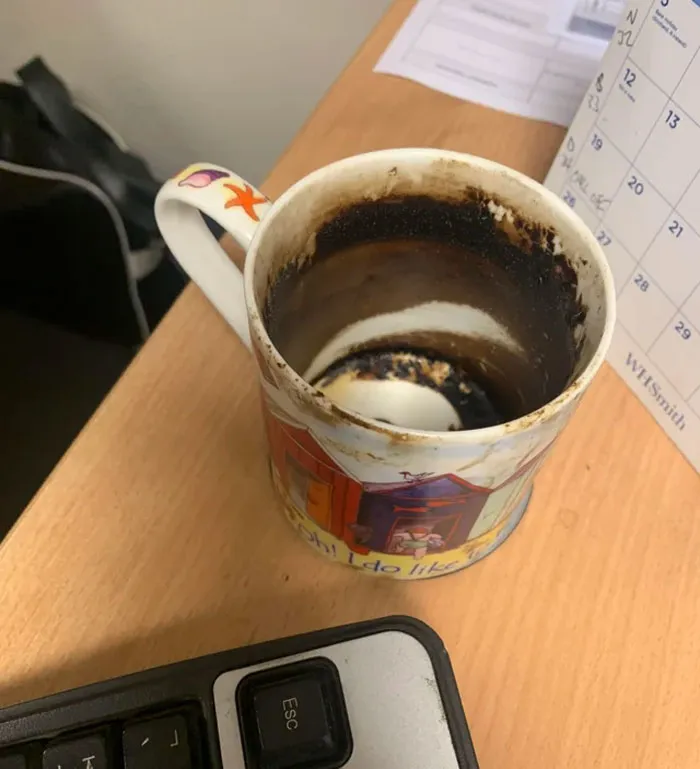 La taza tifoidea de mi colega