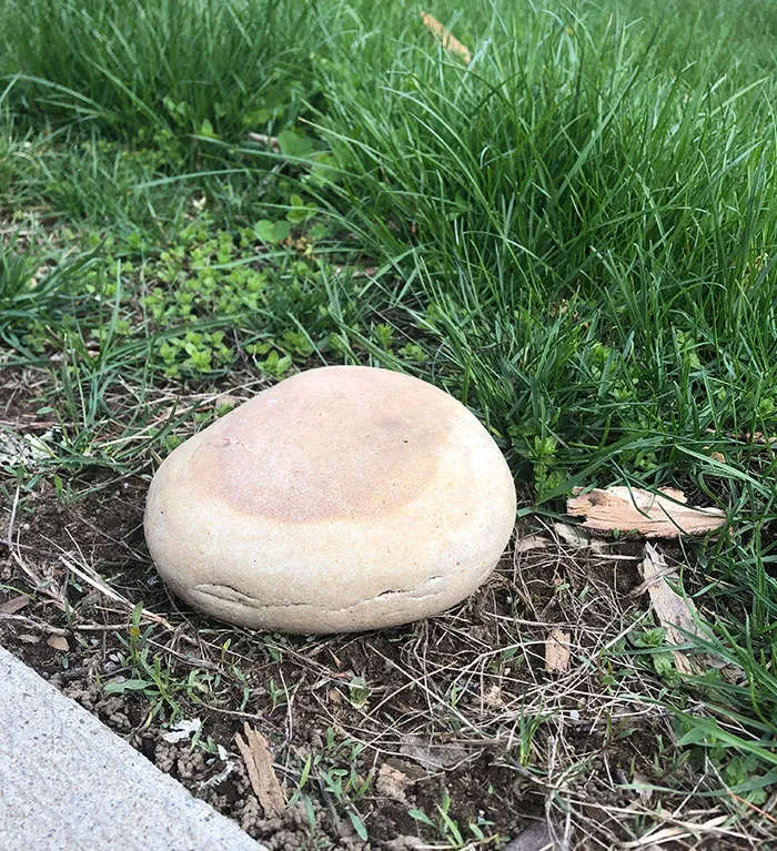 Forbidden English Muffin