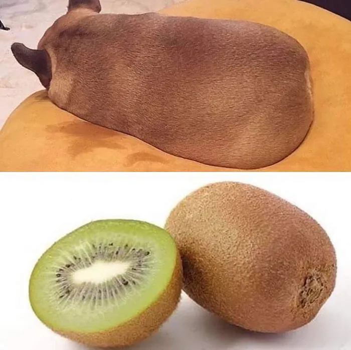 This Kiwi Looks Weird Though