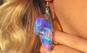 I Create Magical Pieces With Real Insect Wings To Give Them New Life