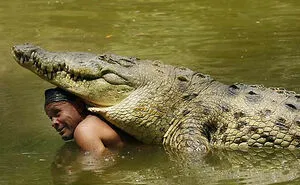 40 Really Cool And Interesting Facts, As Shared By The ‘Today I Learned’ Online Community