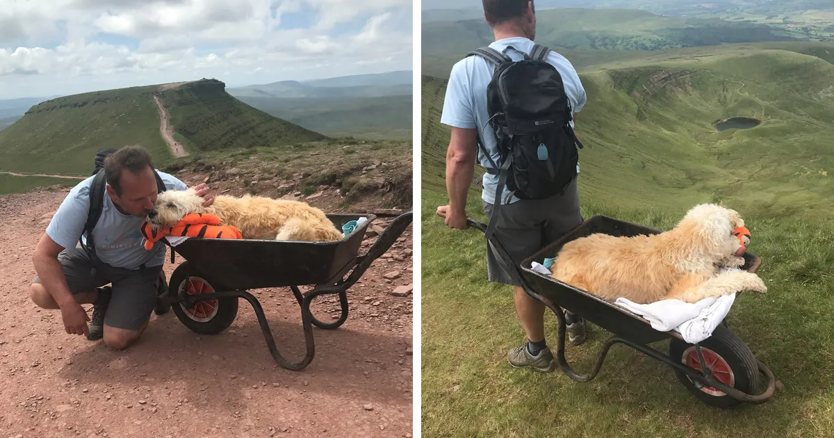 Estas tiernas fotos muestran a un hombre que lleva a su perro enfermo a una última aventura en carretilla