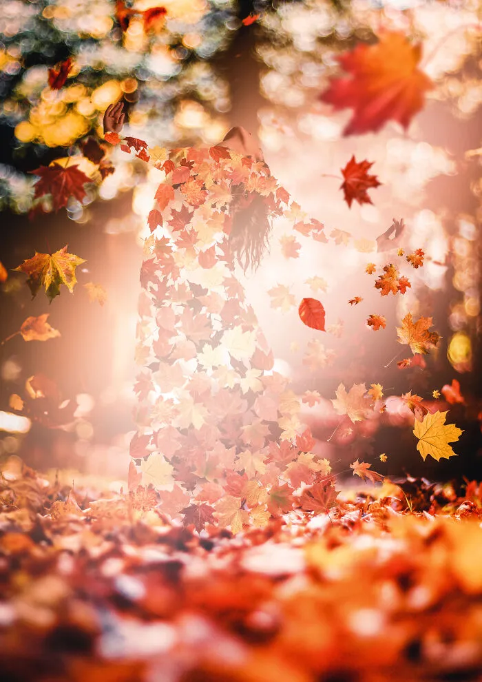 In Every Change, In Every Falling Leaf There Is Some Pain, Some Beauty. And That's The Way New Leaves Grow