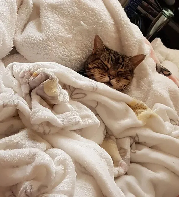 Mi niña de 18 años tuvo un merecido descanso