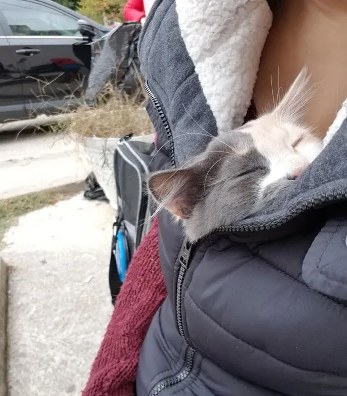 My Hooman Kept Me Warm