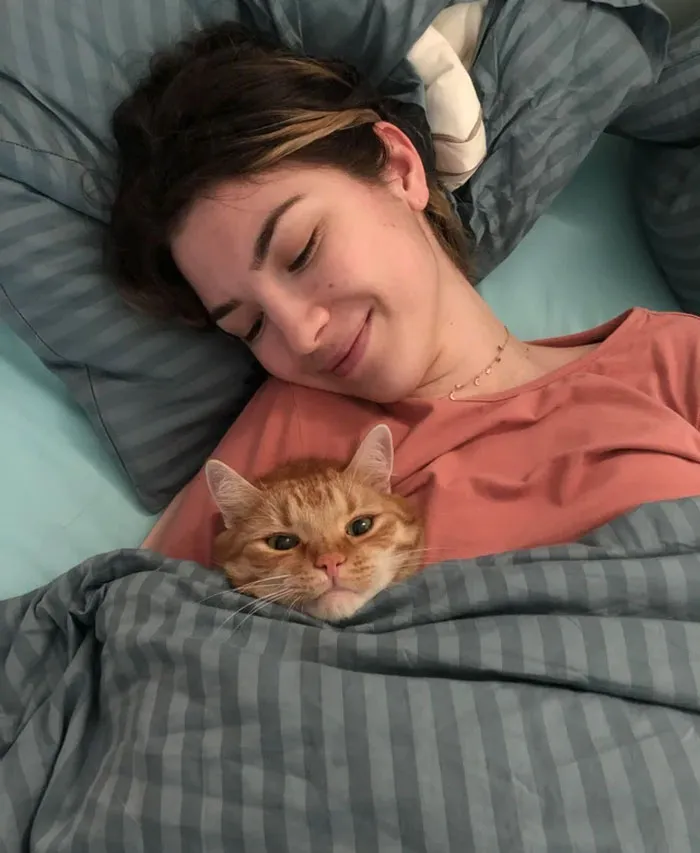 Catto Is Ready For Bed. Night Night