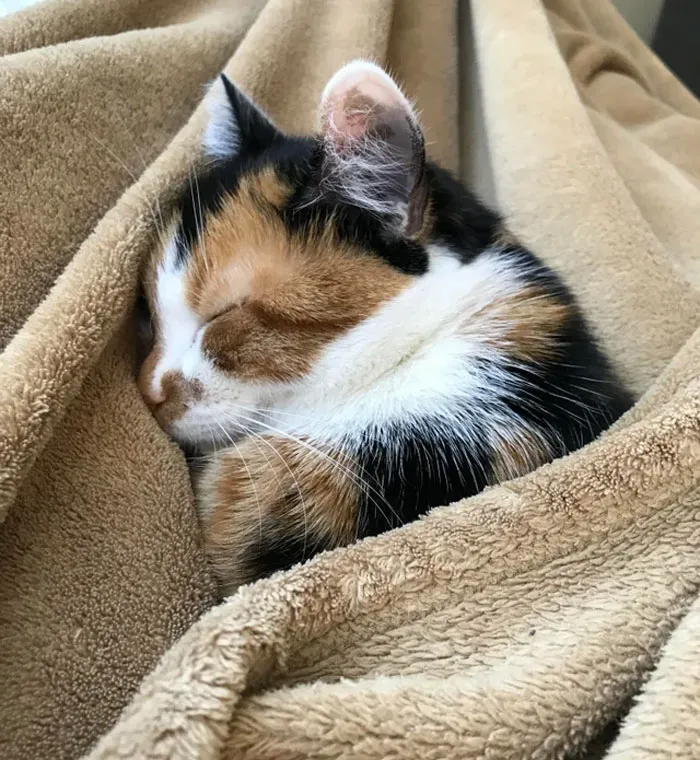 My Special Little Girl Havin A Lil Nap With Me