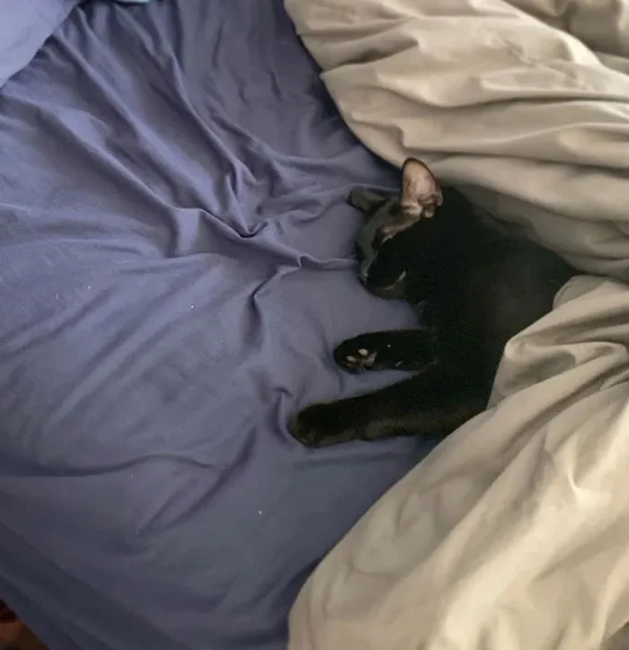 Found My Boy All Tucked In On His Own, Fast Asleep. I Guess I Won’t Be Making My Bed Right Now