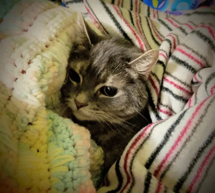 This Is Princess. She's So Tolerant Of My Daughter Tucking Her In. Princess Is 14