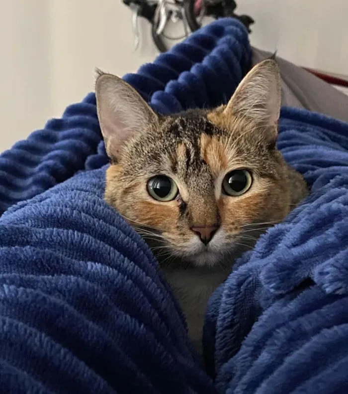 Winter And I Hit The Snooze Button For A Few Extra Minutes This Morning