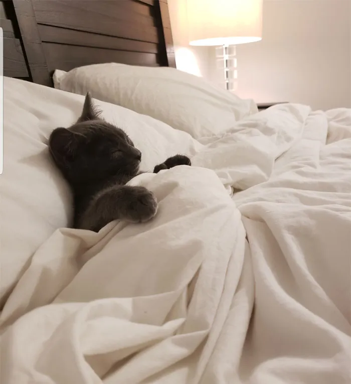 ¿Cómo de perfecto es mi pequeño Will?