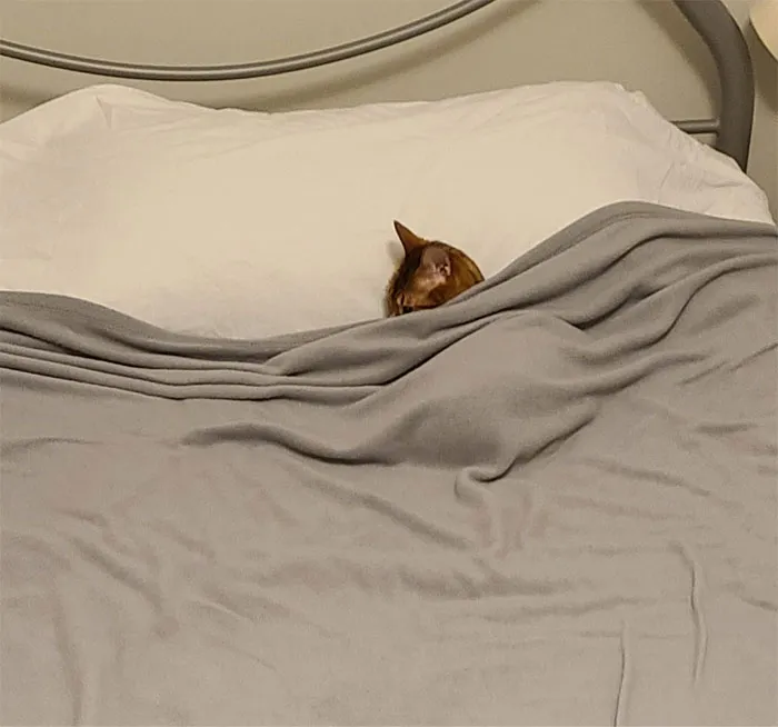 Just Found This Sub And I Have The Perfect Picture